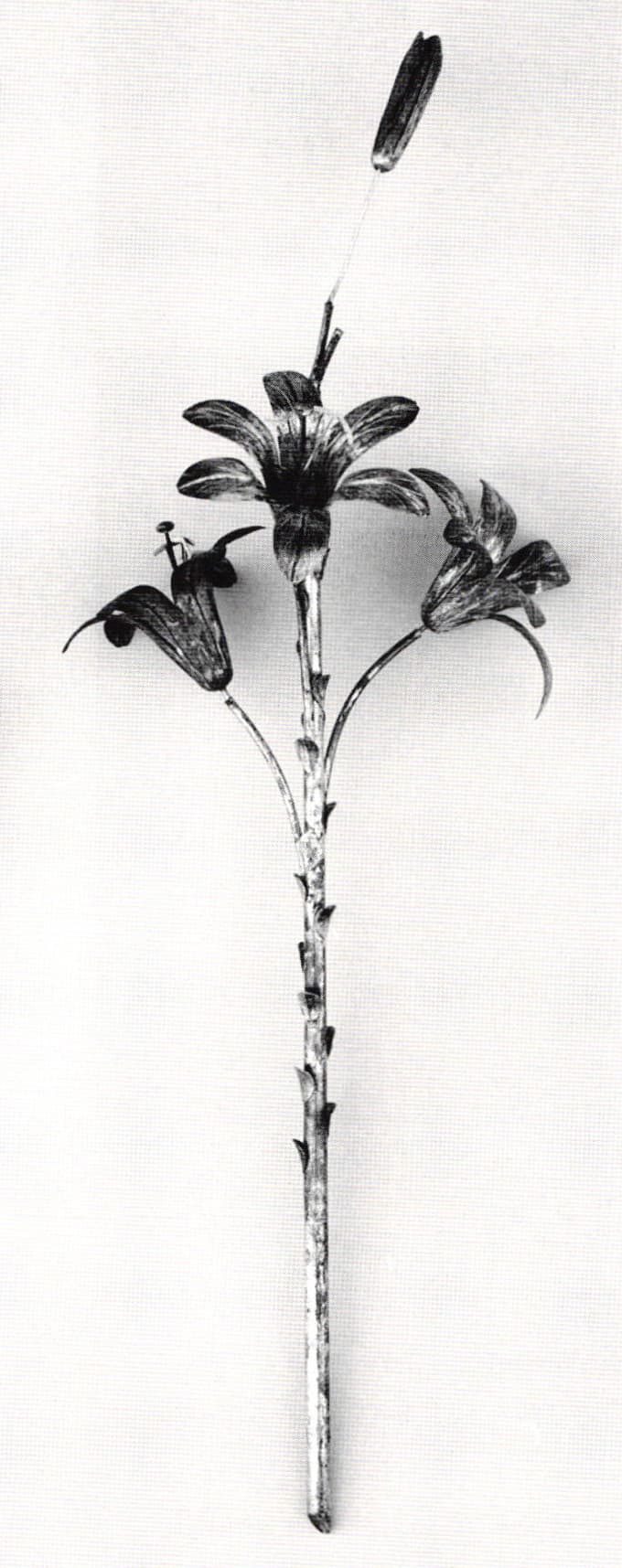 Laminae Ex Voto