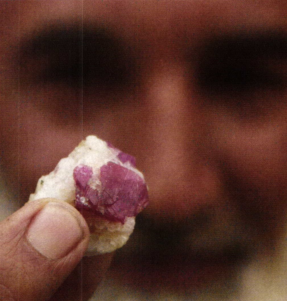 Himalayan Ruby Hunt