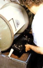 Bulk finishing of gold jewellery - I Wet tumbling: basic principles