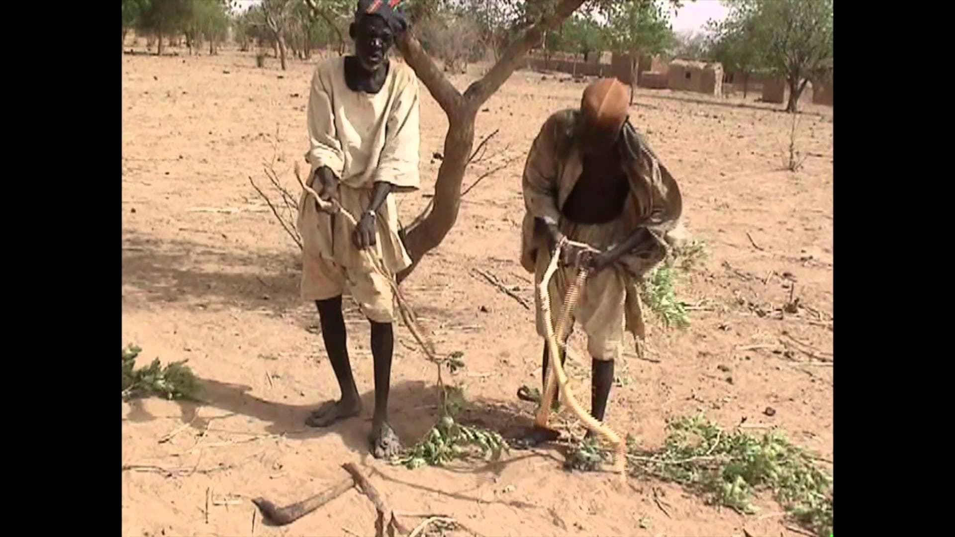 Smelting Iron in Africa