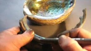 Abalone