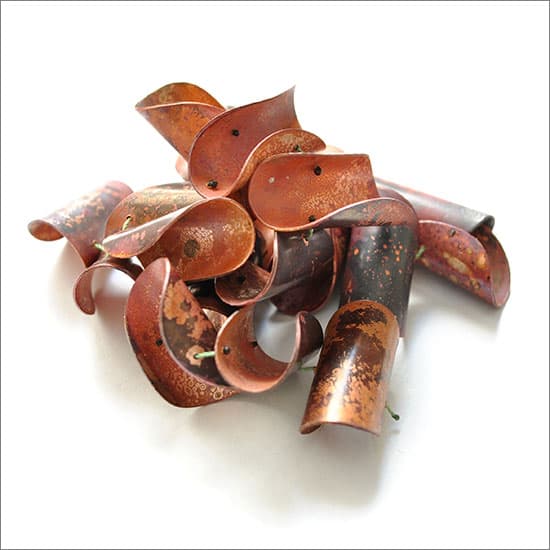 brooch.