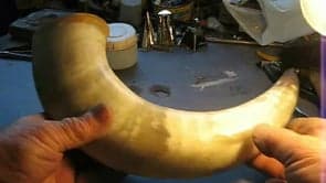 Horn