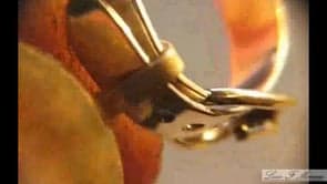 RING BELT