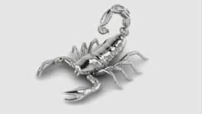 The Scorpion