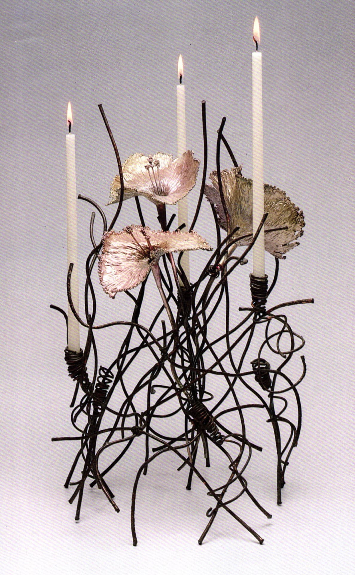 Susan Kingsley: Enlightened Embranglements
